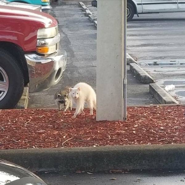 Daily Picdump