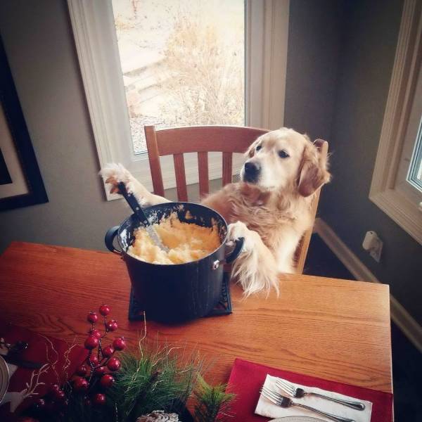 Daily Picdump