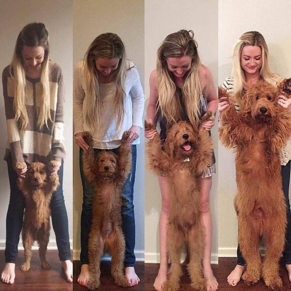Daily Picdump