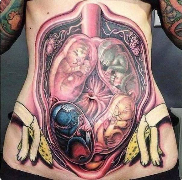 Daily Picdump