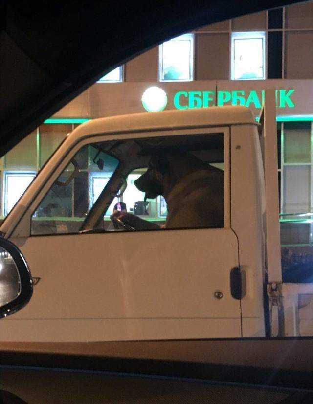 Daily Picdump