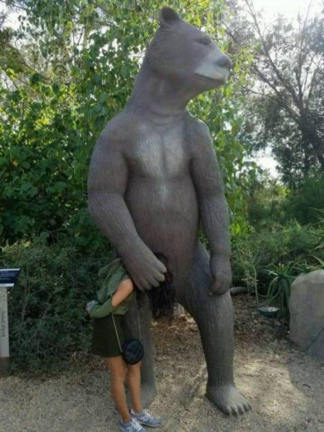 Daily Picdump