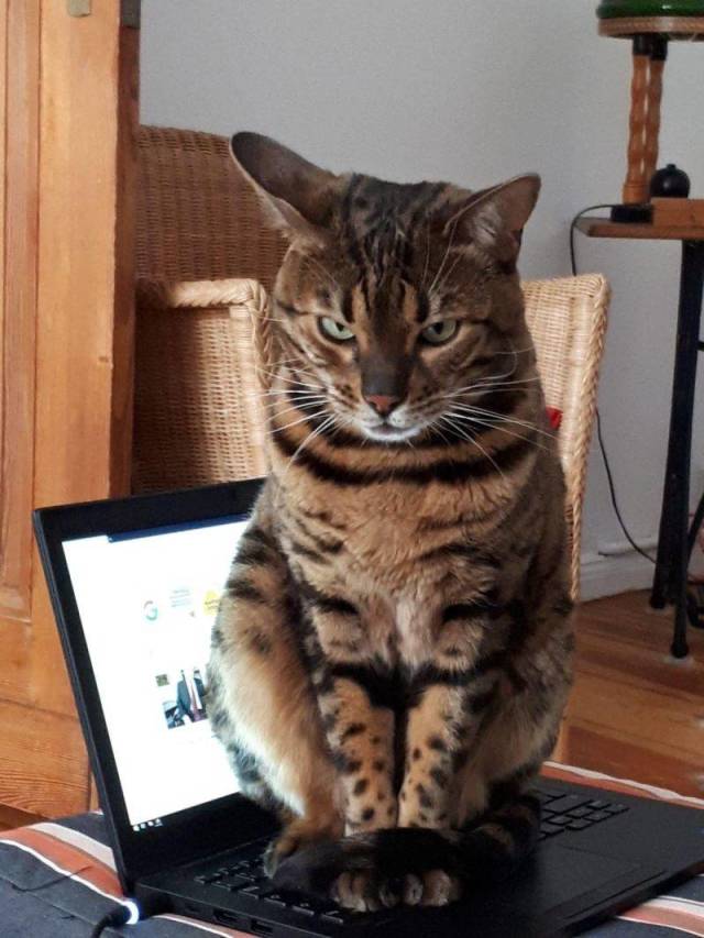 Daily Picdump