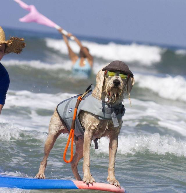 Daily Picdump