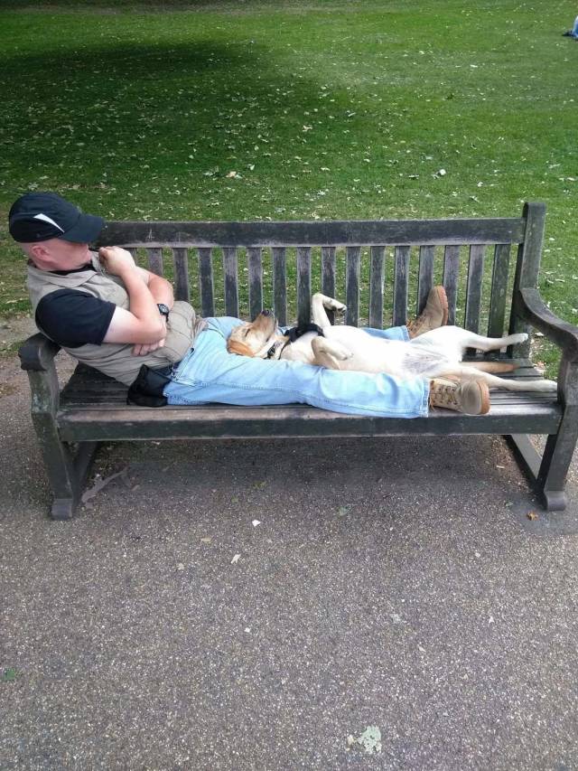 Daily Picdump