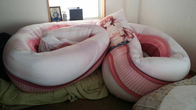 Daily Picdump