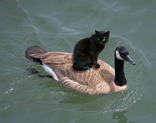 Daily Picdump