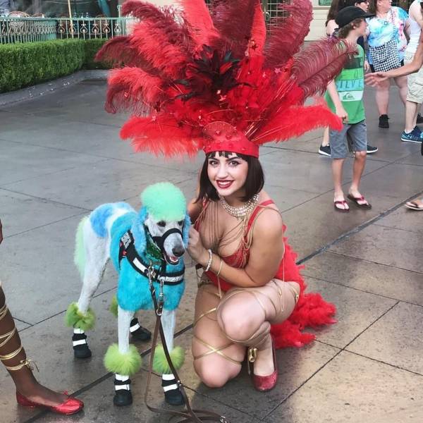 Daily Picdump