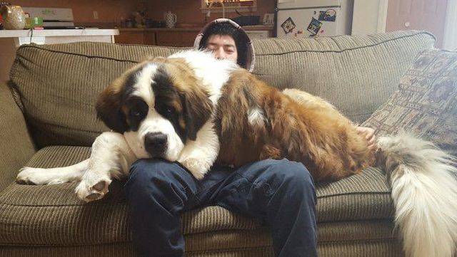 Daily Picdump