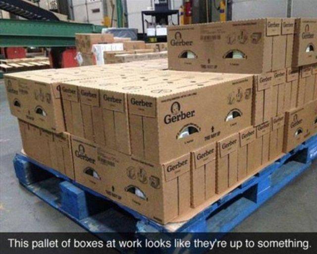 Daily Picdump