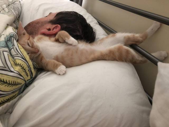 Daily Picdump