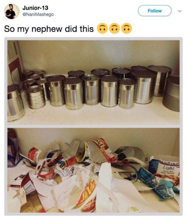 Daily Picdump