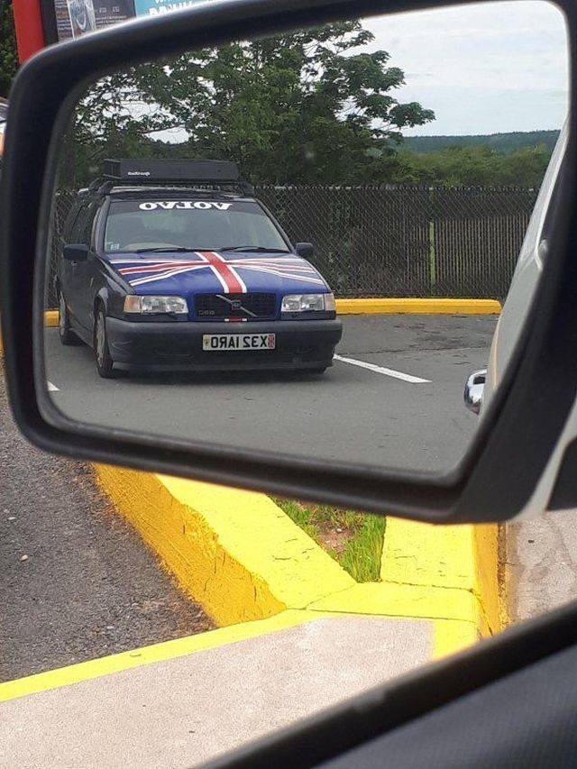 Daily Picdump