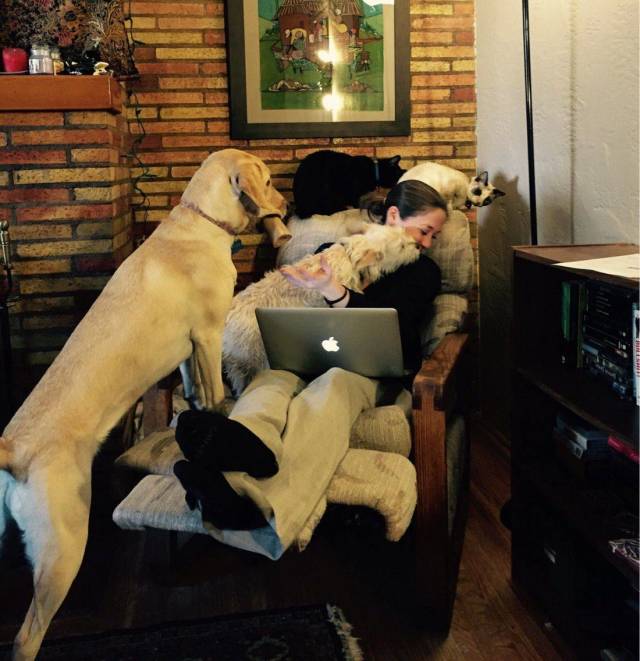 Daily Picdump