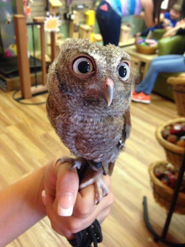 Daily Picdump