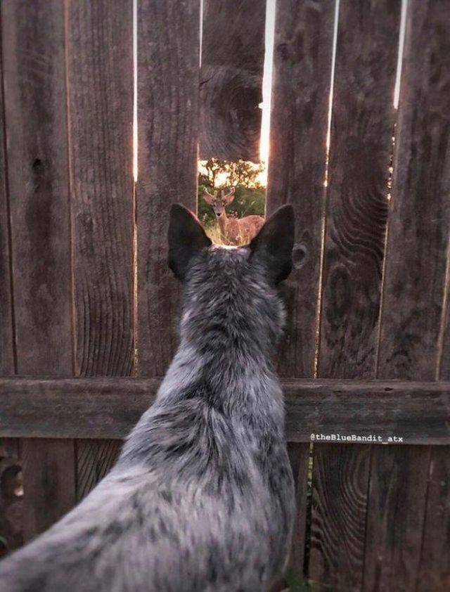 Daily Picdump