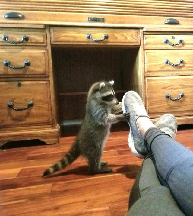 Daily Picdump