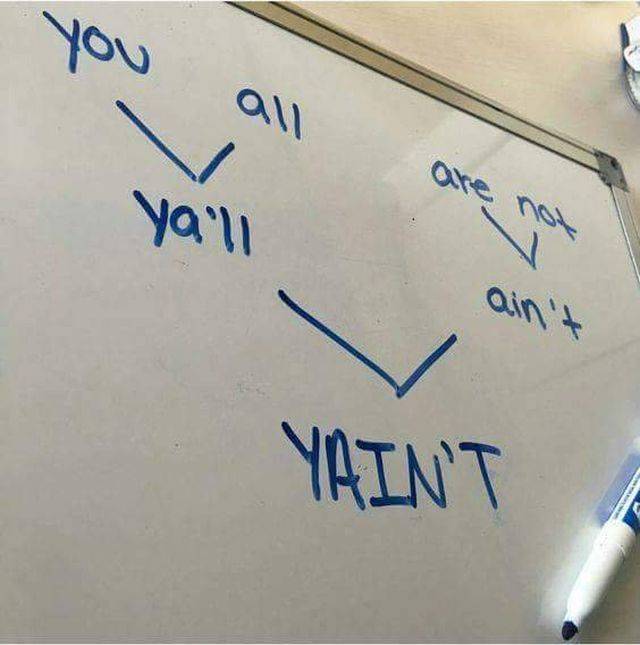 Daily Picdump