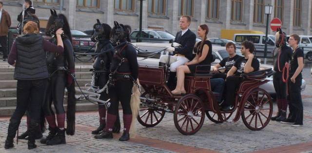 Daily Picdump