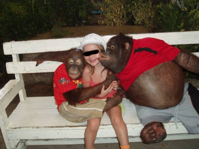 Daily Picdump