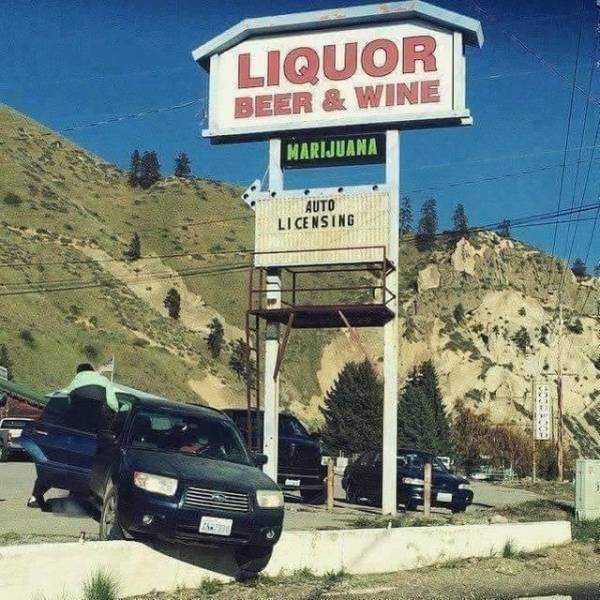 Daily Picdump