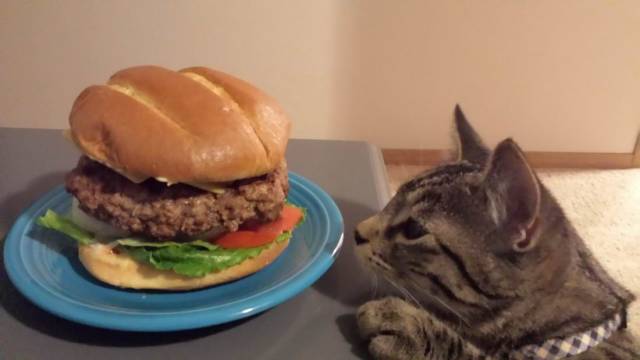 Daily Picdump
