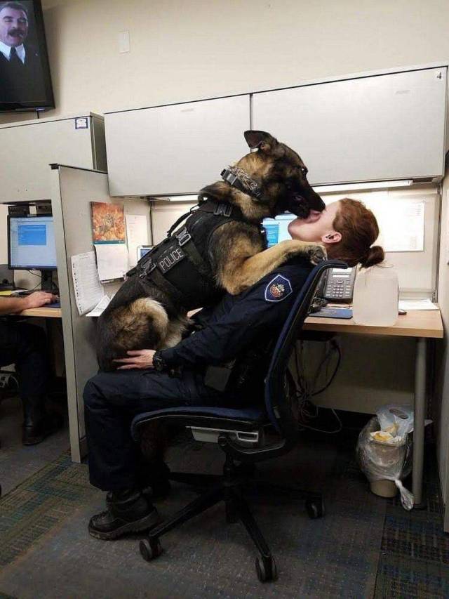 Daily Picdump