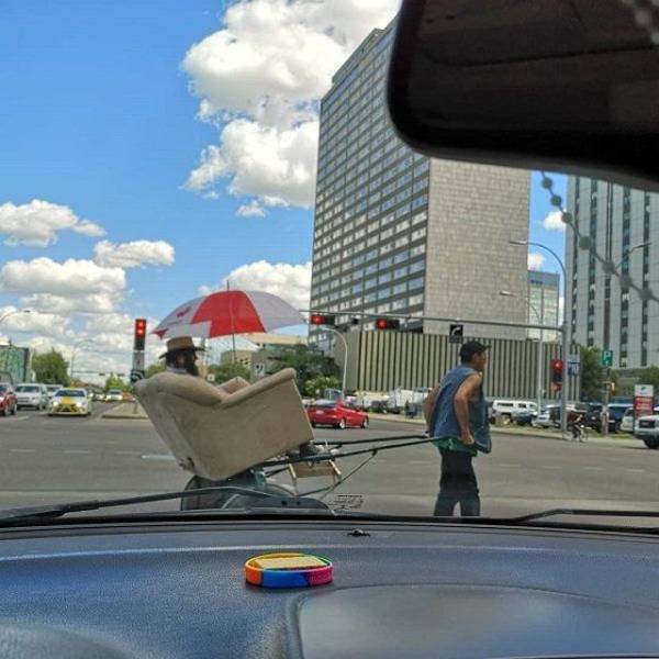Daily Picdump