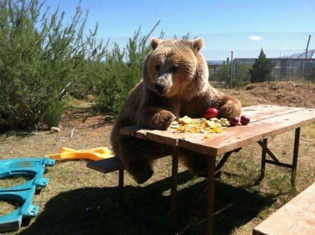 Daily Picdump
