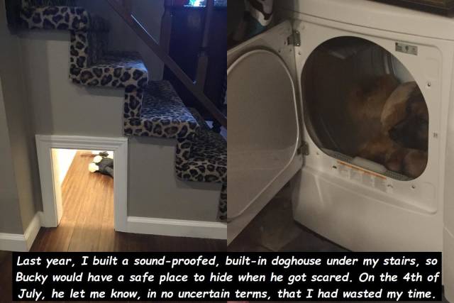 Daily Picdump