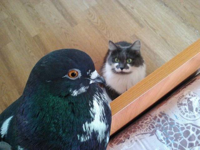 Daily Picdump