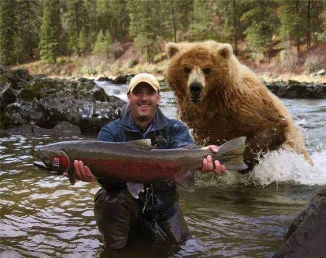 Daily Picdump