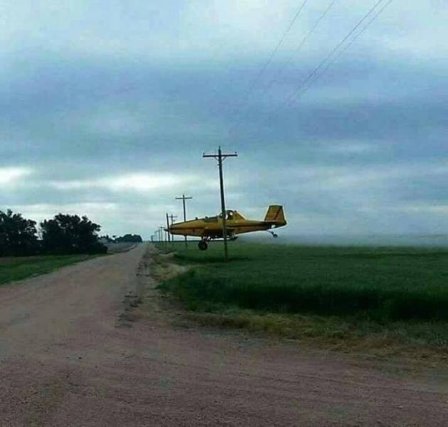 Daily Picdump
