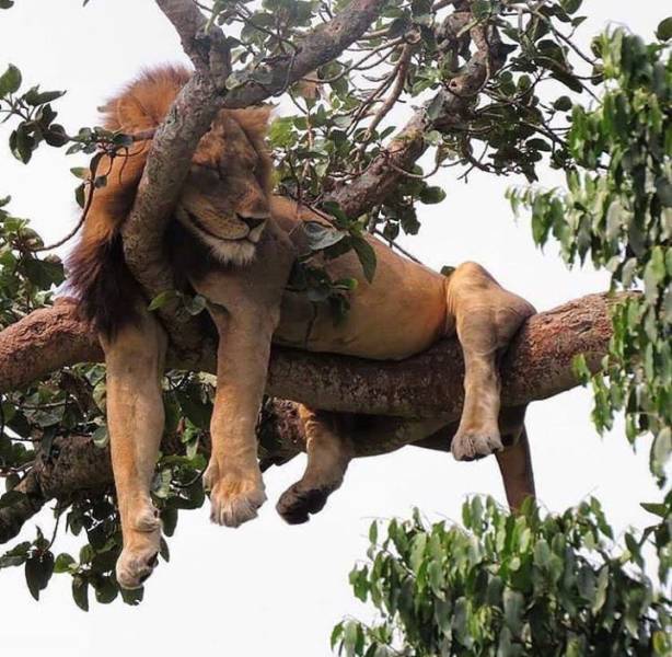 Daily Picdump