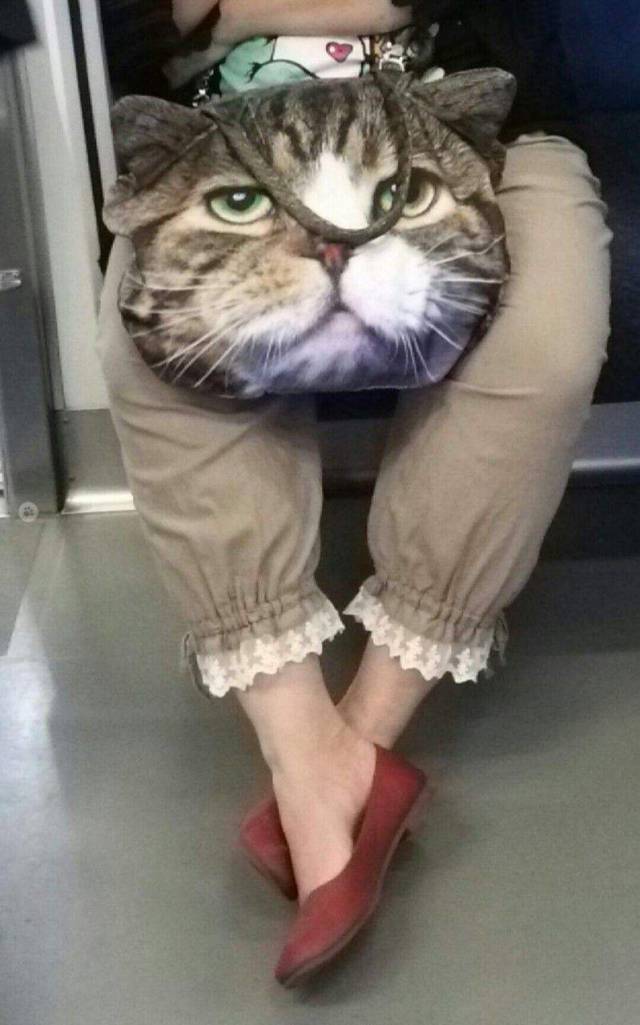 Daily Picdump