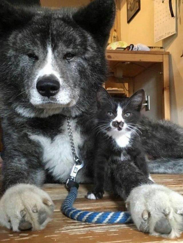Daily Picdump