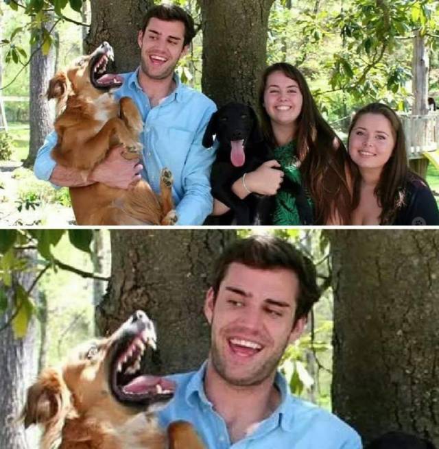 Daily Picdump