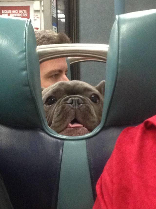 Daily Picdump