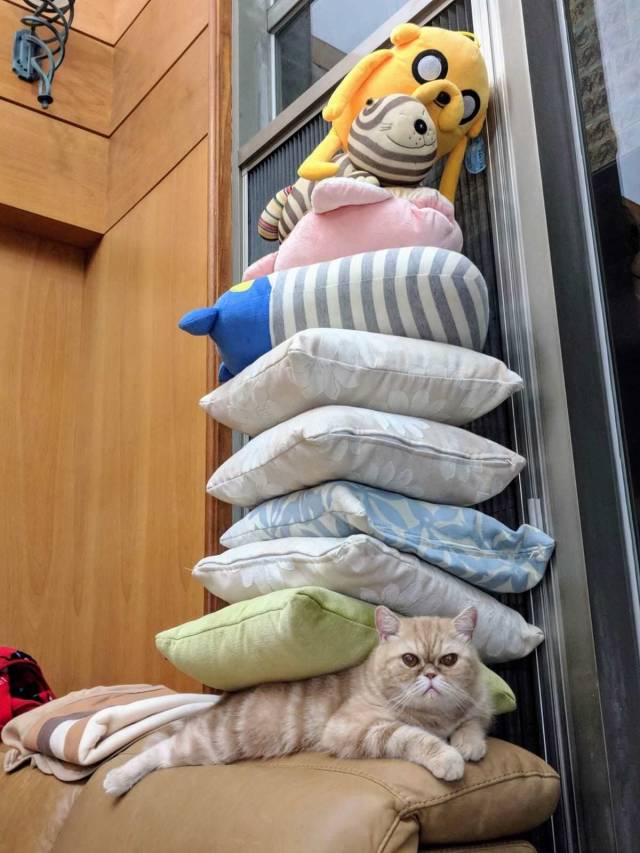 Daily Picdump
