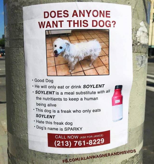 These Posters Look Absolutely Real, But Don’t Let Them Fool You!