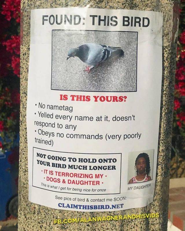 These Posters Look Absolutely Real, But Don’t Let Them Fool You!