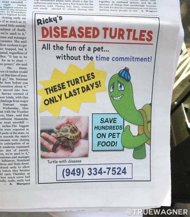 These Posters Look Absolutely Real, But Don’t Let Them Fool You!