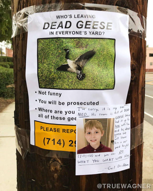 These Posters Look Absolutely Real, But Don’t Let Them Fool You!