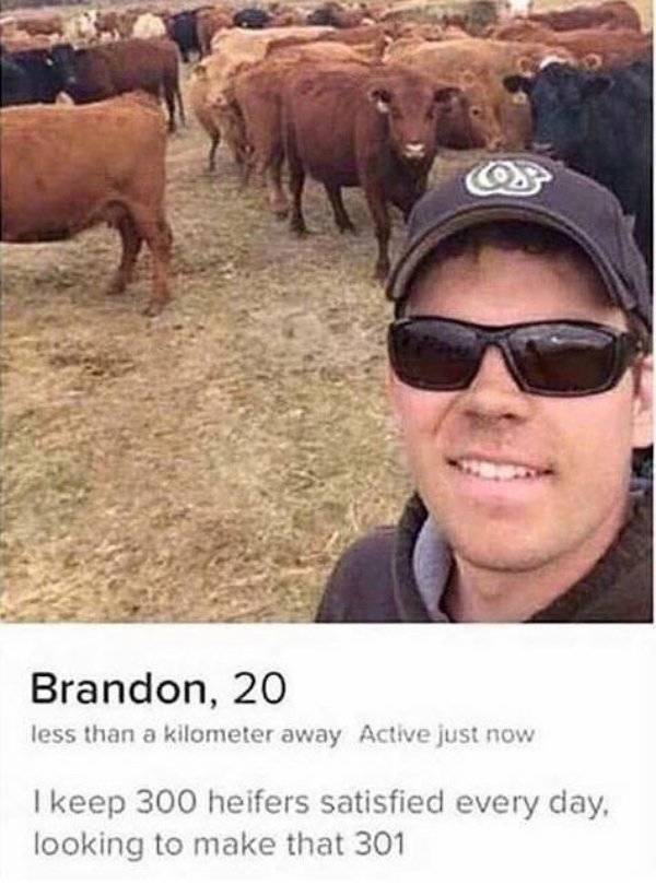 Tinder Is A Completely Different, Shameless, Universe Tinder Is A Completely Different, Shameless, Universe