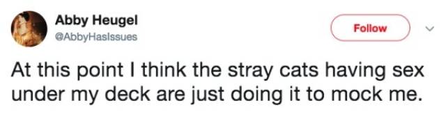 Sex Tweets That Are Way Too Relatable