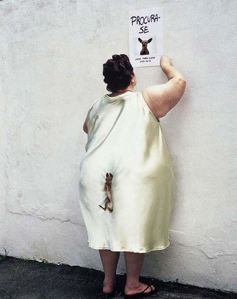 Funny picdump