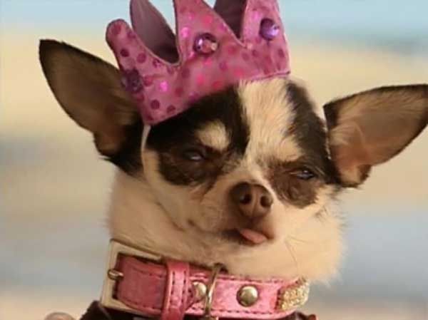 Funny picdump