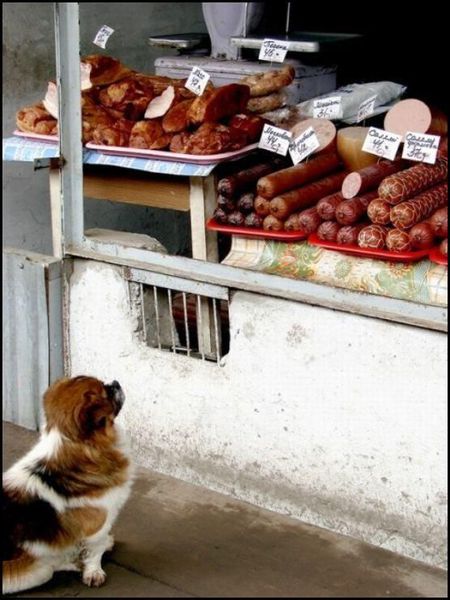Funny picdump