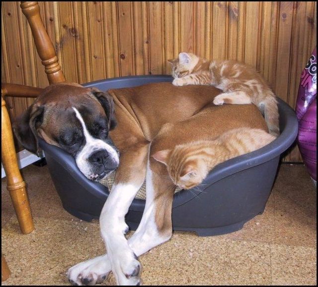 Funny picdump (107 pics)