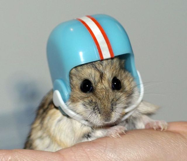 Funny picdump (107 pics)